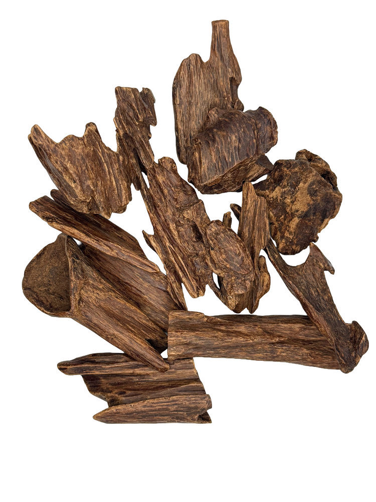 A pile of dark brown, textured wood chips or bark pieces arranged on a plain white background.