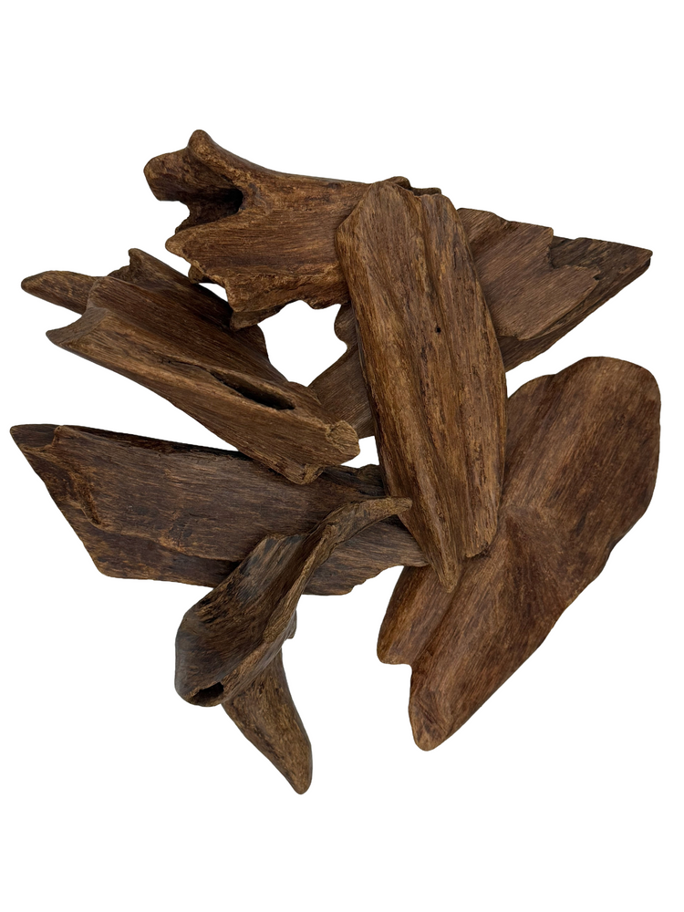 A pile of dark brown driftwood pieces with natural irregular shapes, photographed on a solid white background.